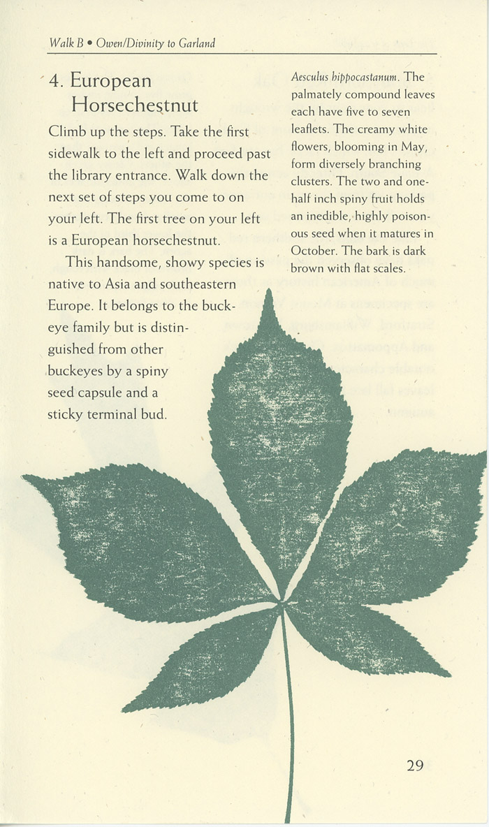 Image of a page from of the Trees of Vanderbilt