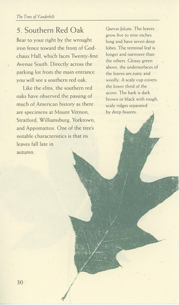 Image of a page from of the Trees of Vanderbilt