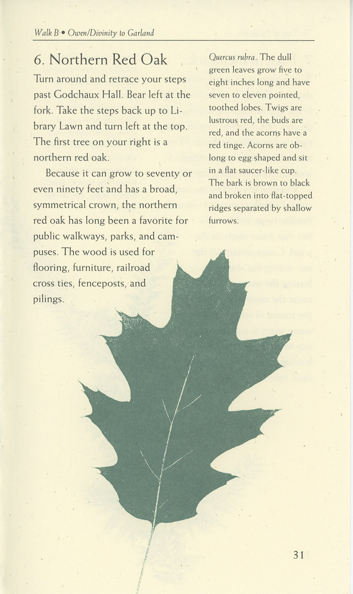 Image of a page from of the Trees of Vanderbilt