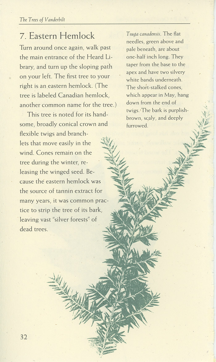 Image of a page from of the Trees of Vanderbilt