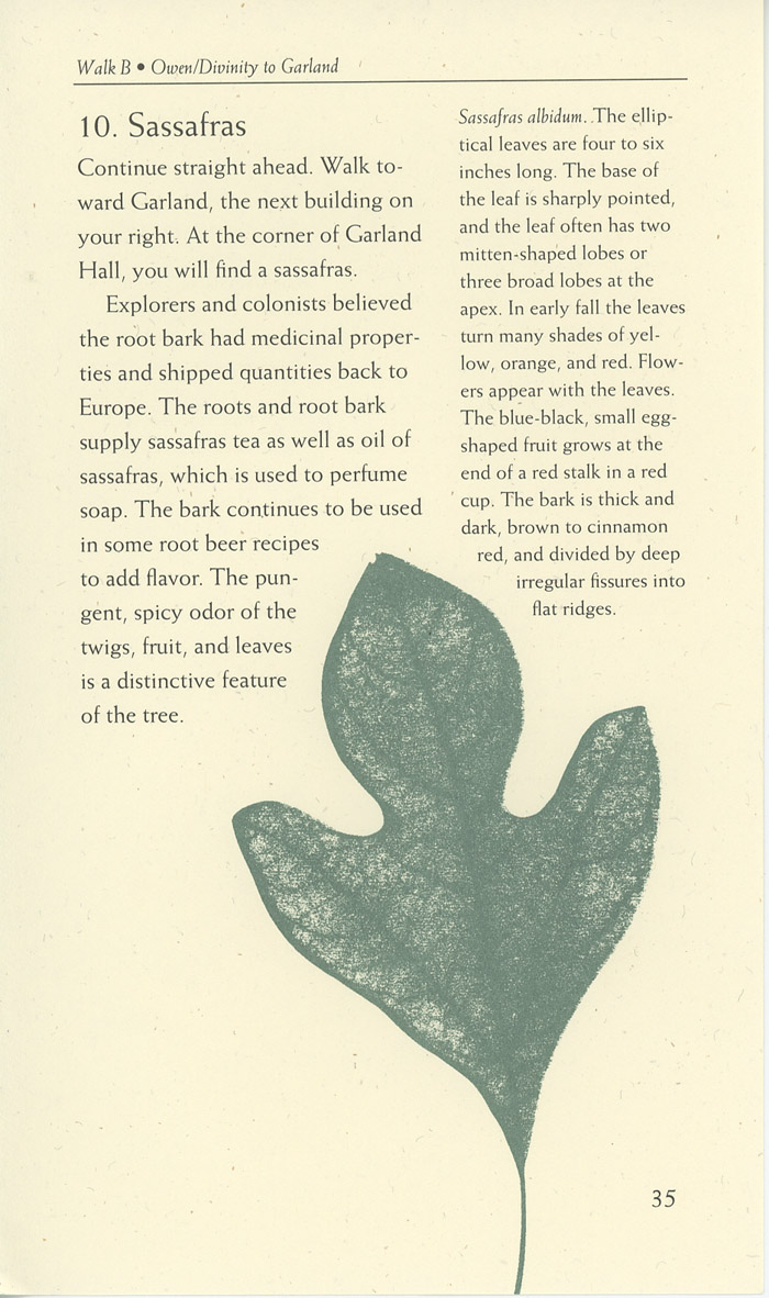 Image of a page from of the Trees of Vanderbilt