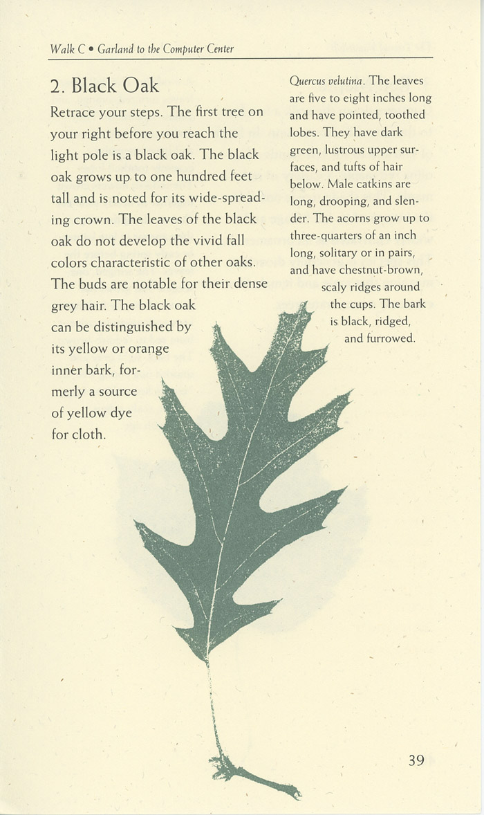 Image of a page from of the Trees of Vanderbilt