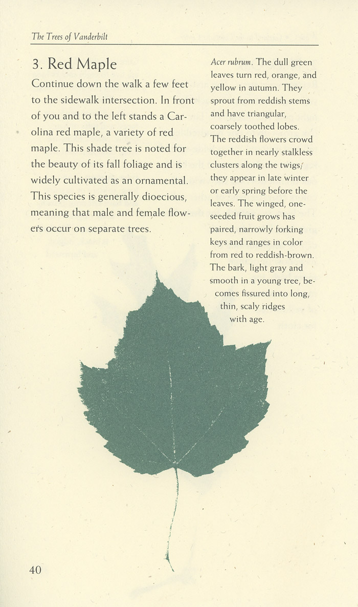 Image of a page from of the Trees of Vanderbilt