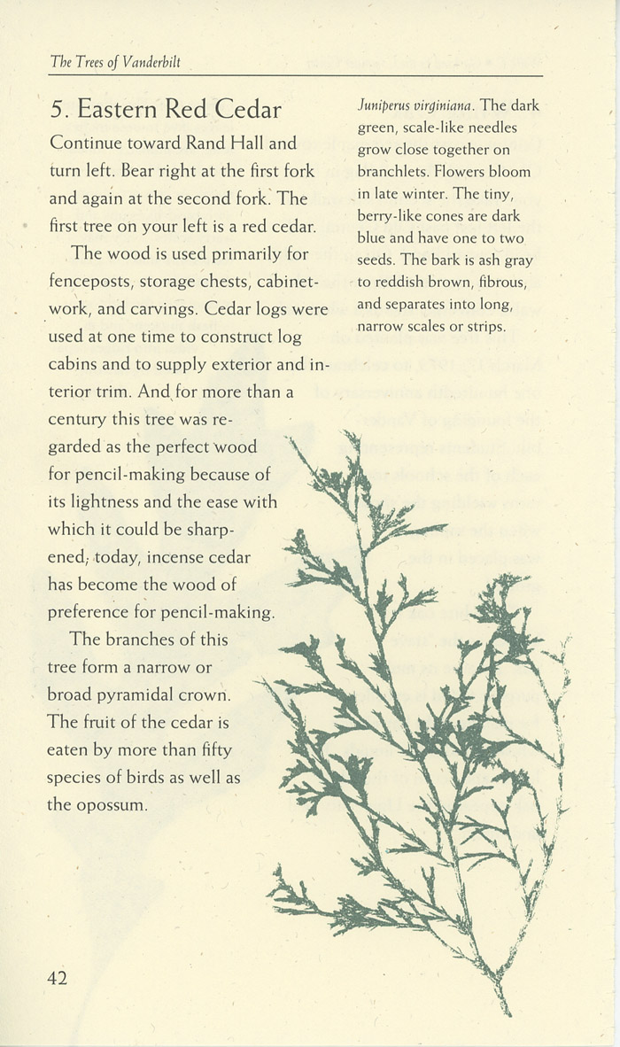 Image of a page from of the Trees of Vanderbilt