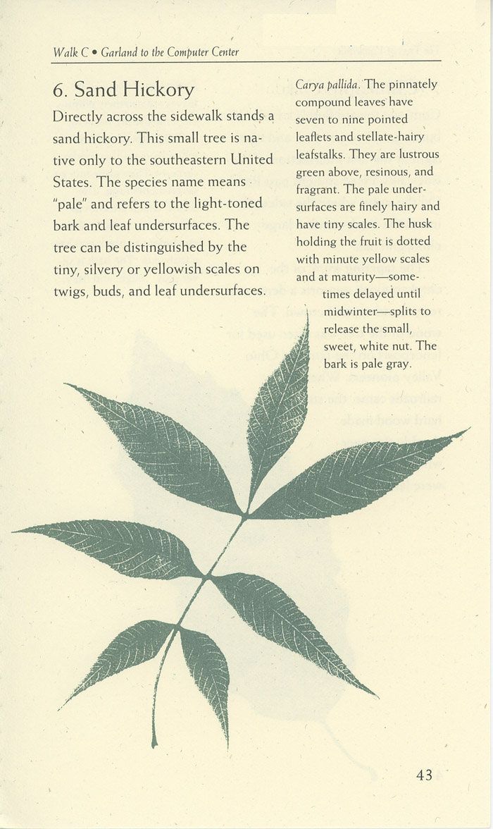 Image of a page from of the Trees of Vanderbilt