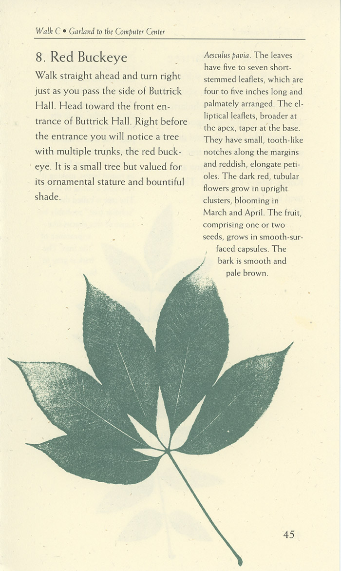 Image of a page from of the Trees of Vanderbilt