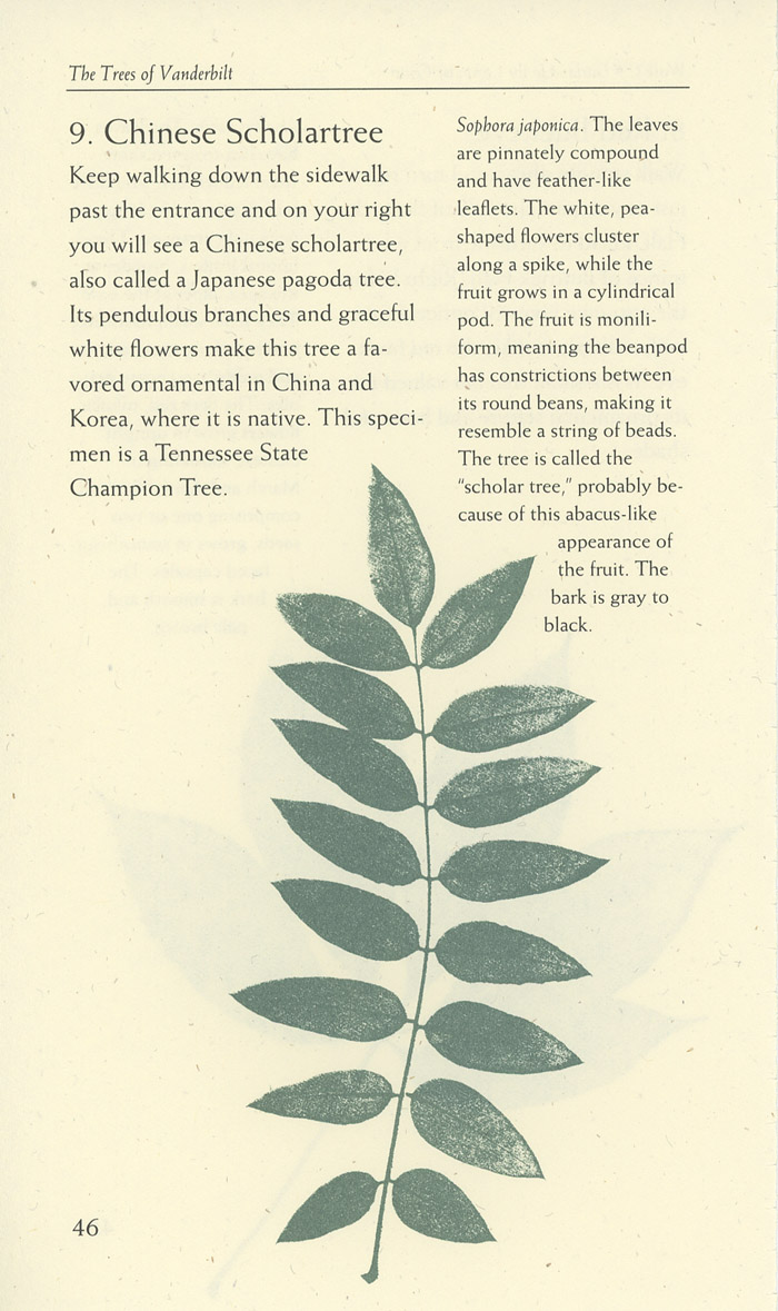 Image of a page from of the Trees of Vanderbilt