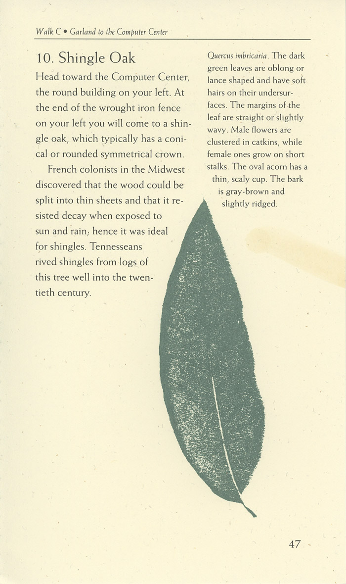 Image of a page from of the Trees of Vanderbilt