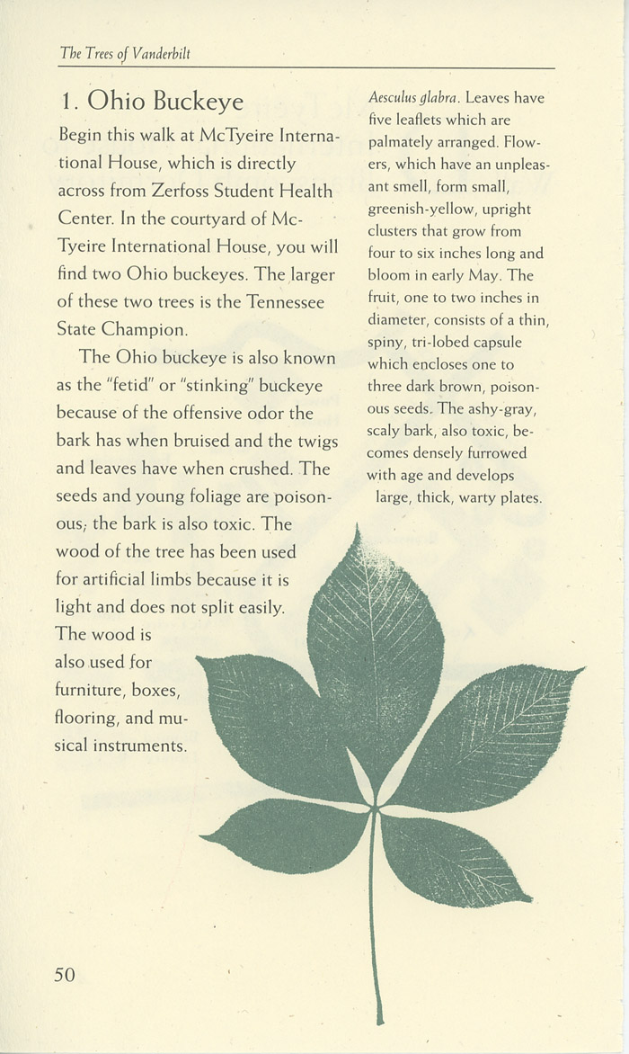 Image of a page from of the Trees of Vanderbilt