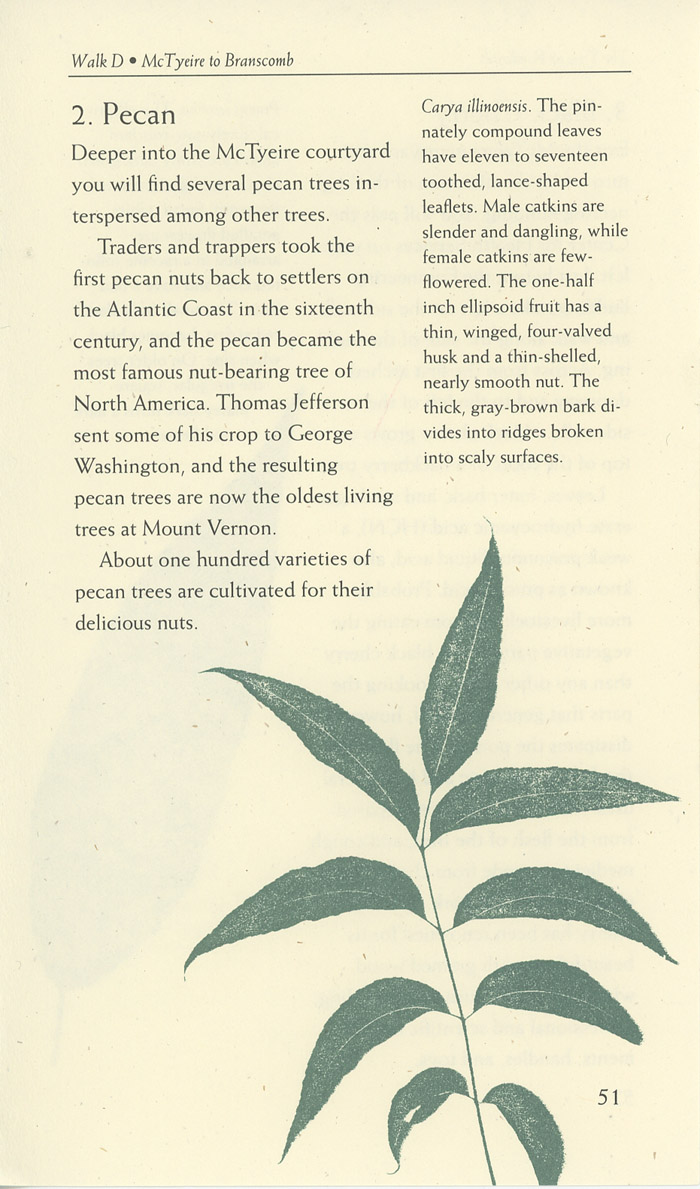 Image of a page from of the Trees of Vanderbilt