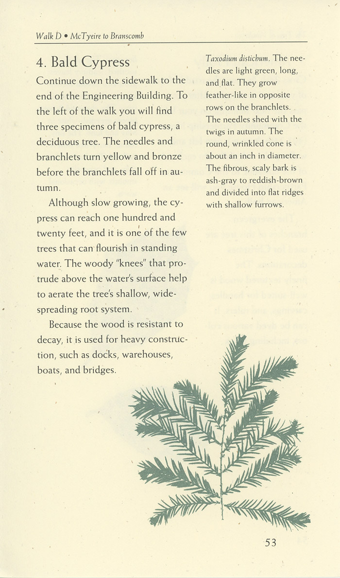 Image of a page from of the Trees of Vanderbilt