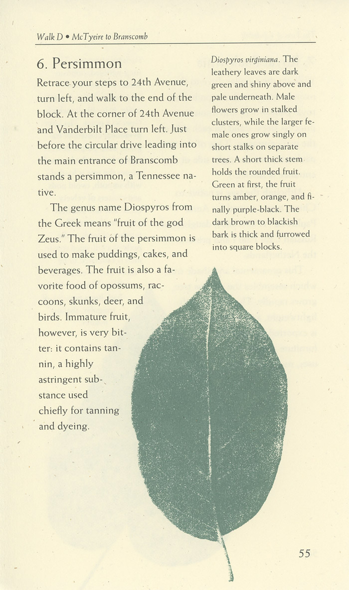 Image of a page from of the Trees of Vanderbilt