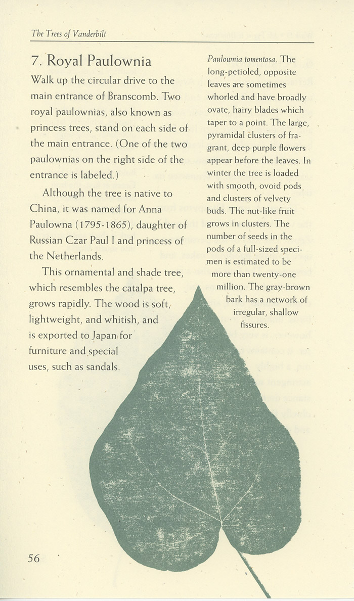 Image of a page from of the Trees of Vanderbilt