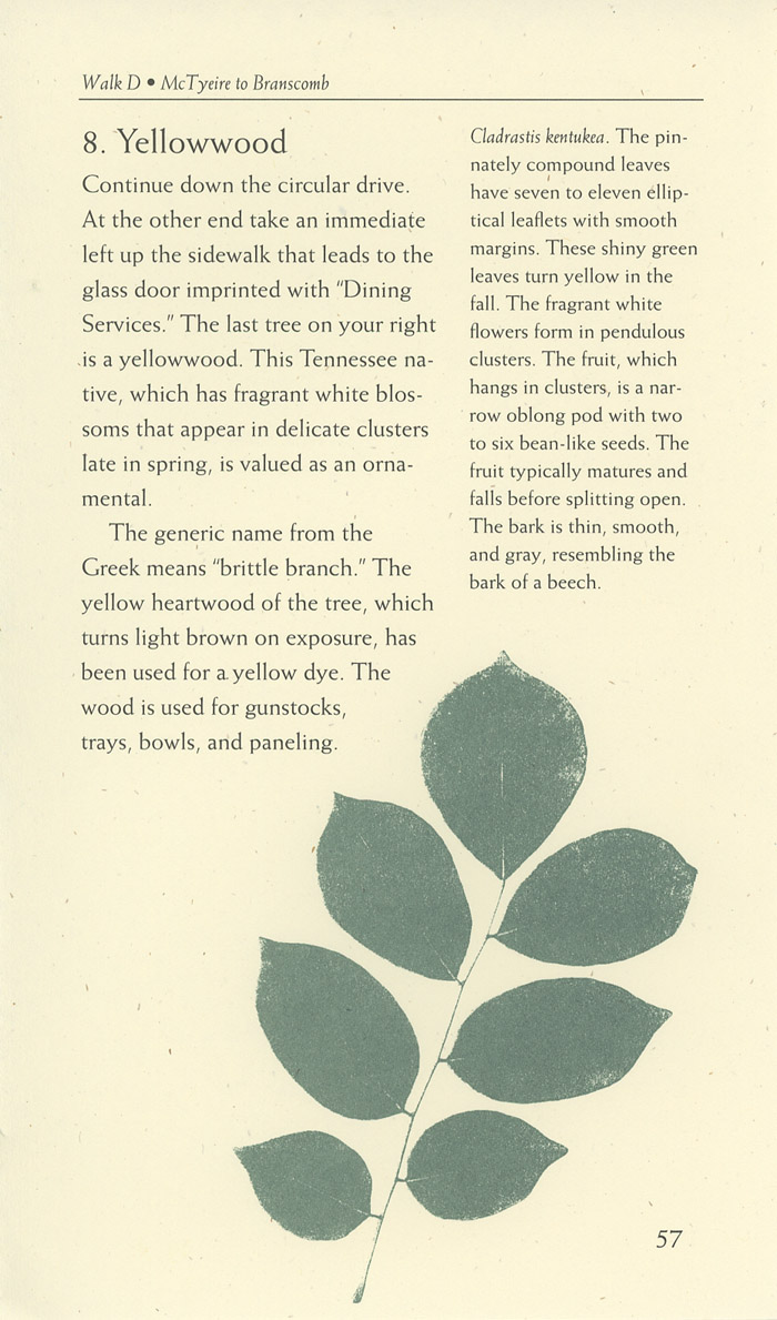 Image of a page from of the Trees of Vanderbilt