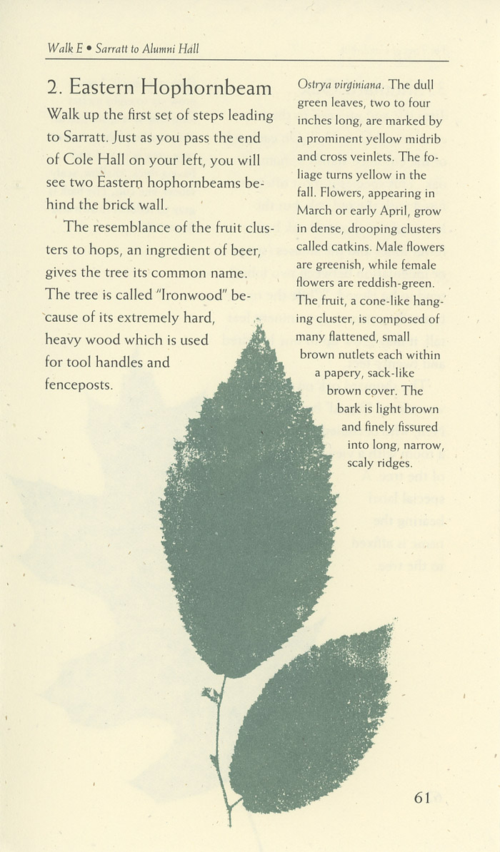 Image of a page from of the Trees of Vanderbilt