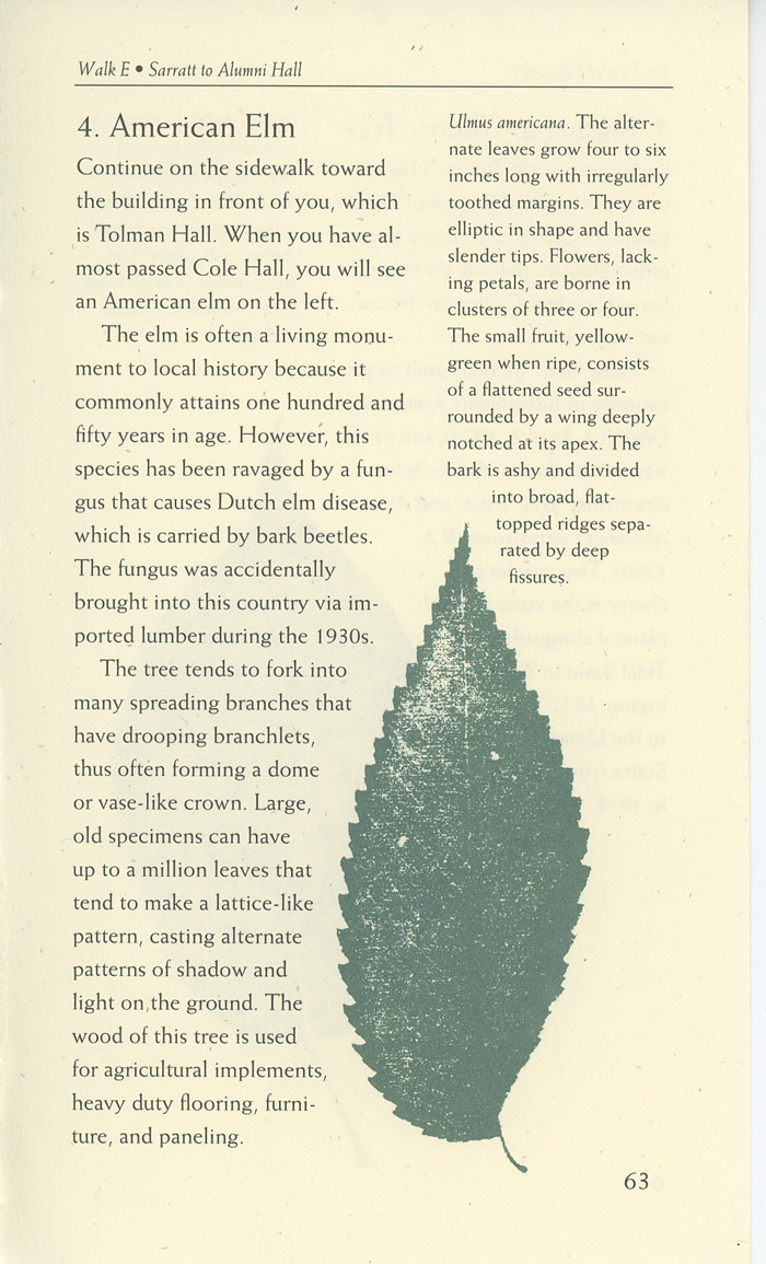 Image of a page from of the Trees of Vanderbilt