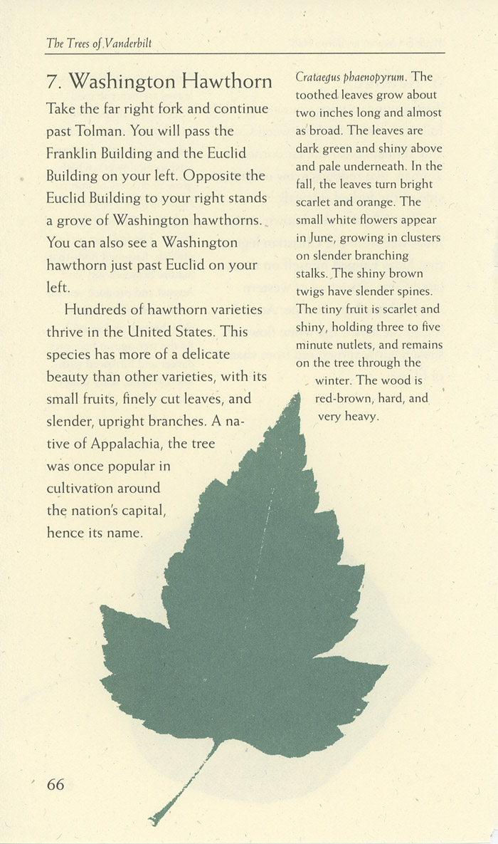 Image of a page from of the Trees of Vanderbilt