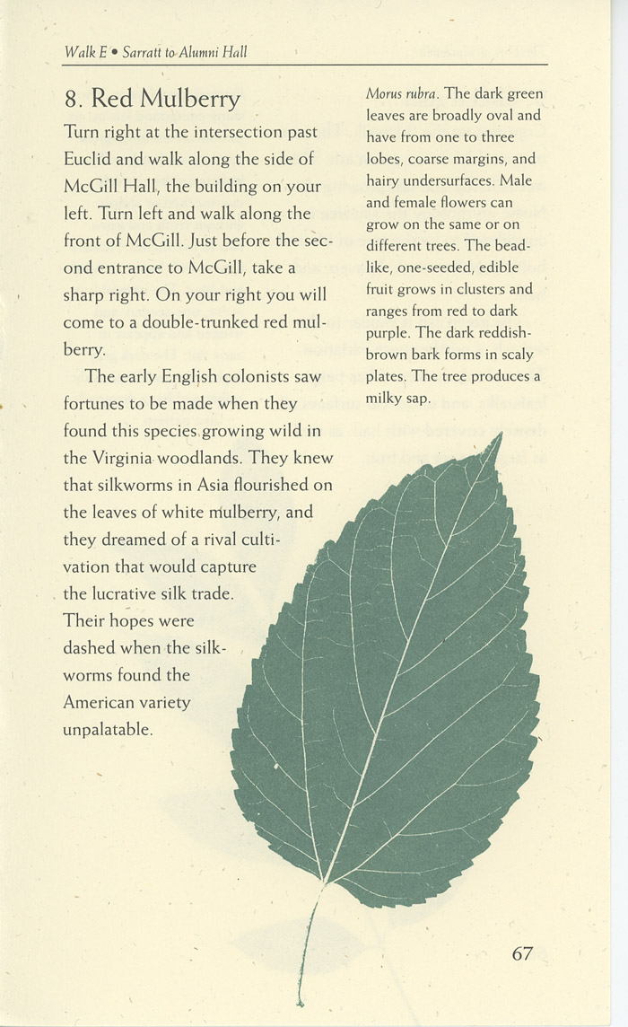 Image of a page from of the Trees of Vanderbilt