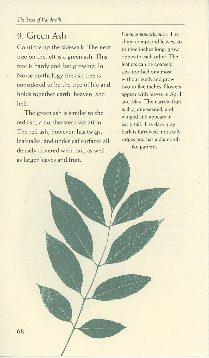 Image of a page from of the Trees of Vanderbilt