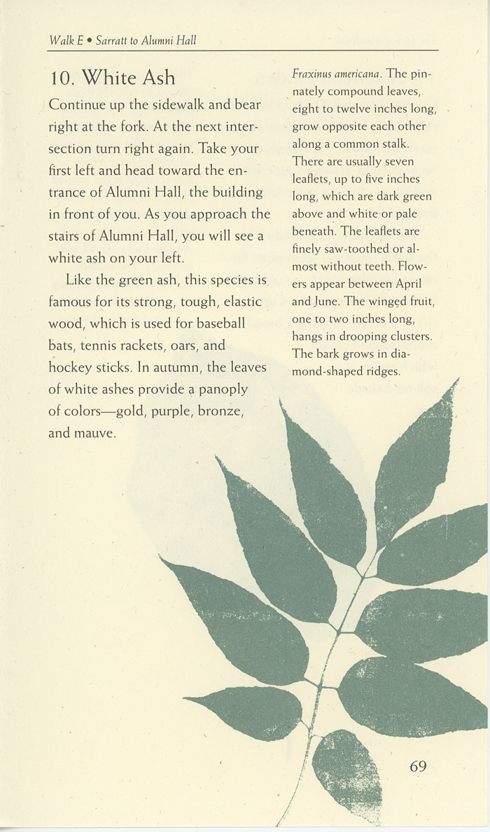 Image of a page from of the Trees of Vanderbilt