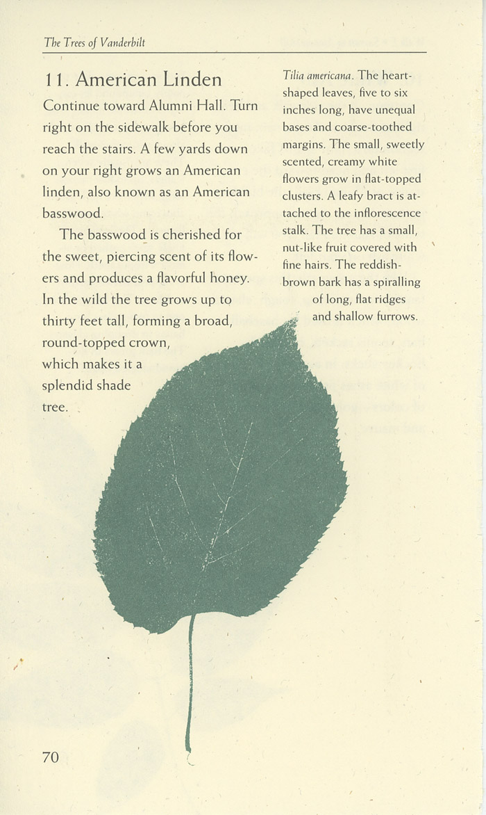 Image of a page from of the Trees of Vanderbilt