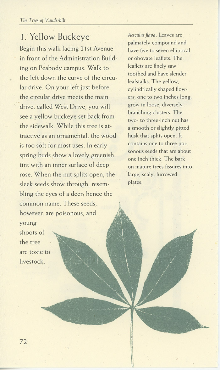 Image of a page from of the Trees of Vanderbilt