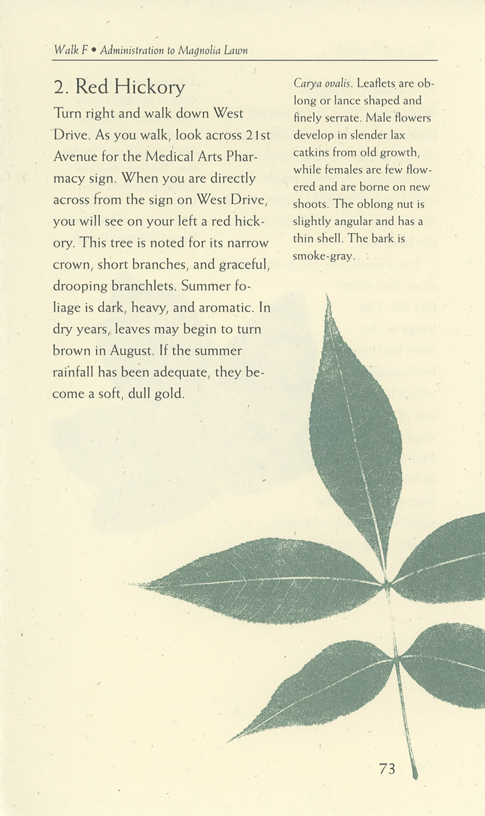 Image of a page from of the Trees of Vanderbilt