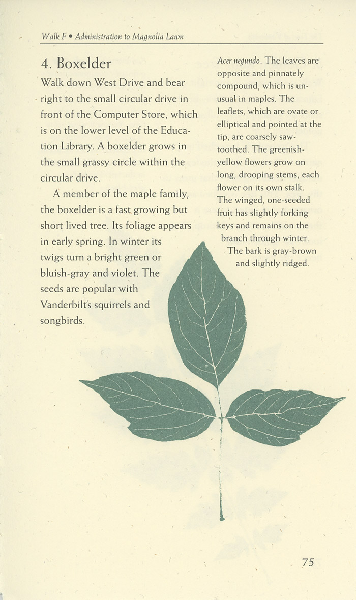 Image of a page from of the Trees of Vanderbilt