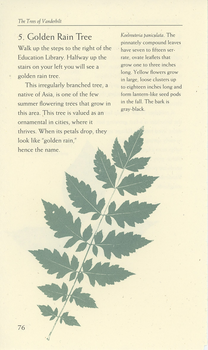 Image of a page from of the Trees of Vanderbilt