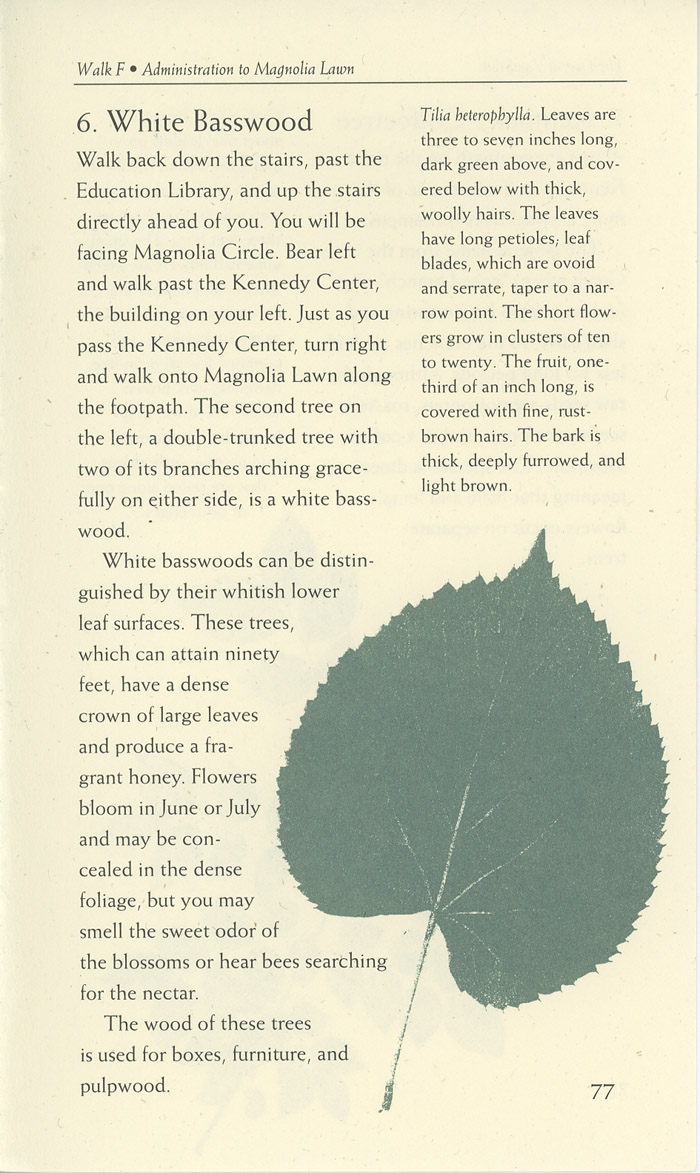 Image of a page from of the Trees of Vanderbilt