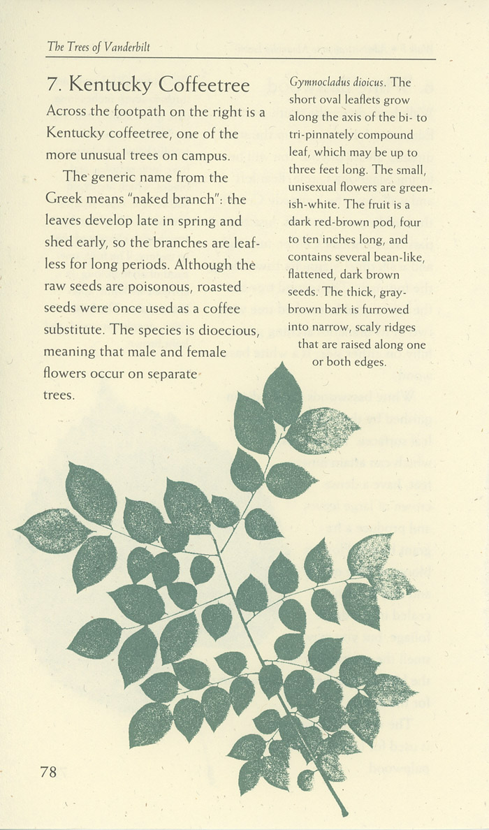 Image of a page from of the Trees of Vanderbilt