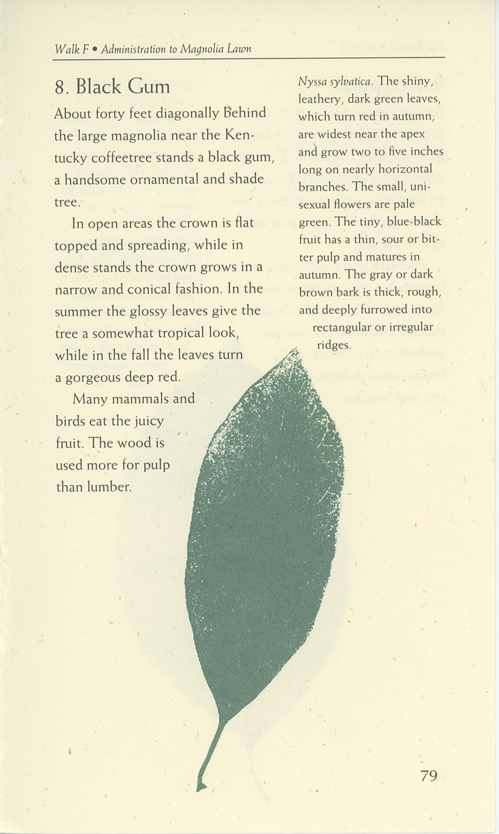 Image of a page from of the Trees of Vanderbilt