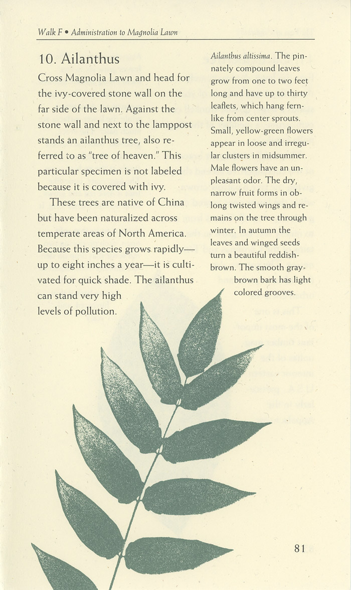 Image of a page from of the Trees of Vanderbilt