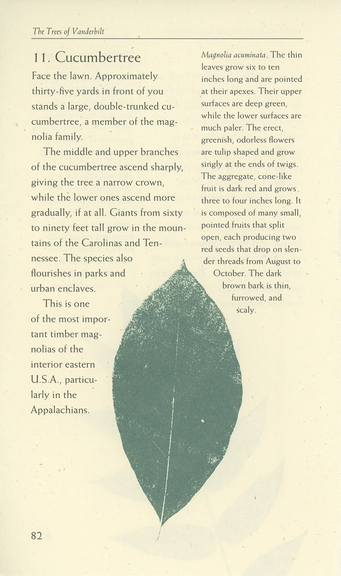 Image of a page from of the Trees of Vanderbilt