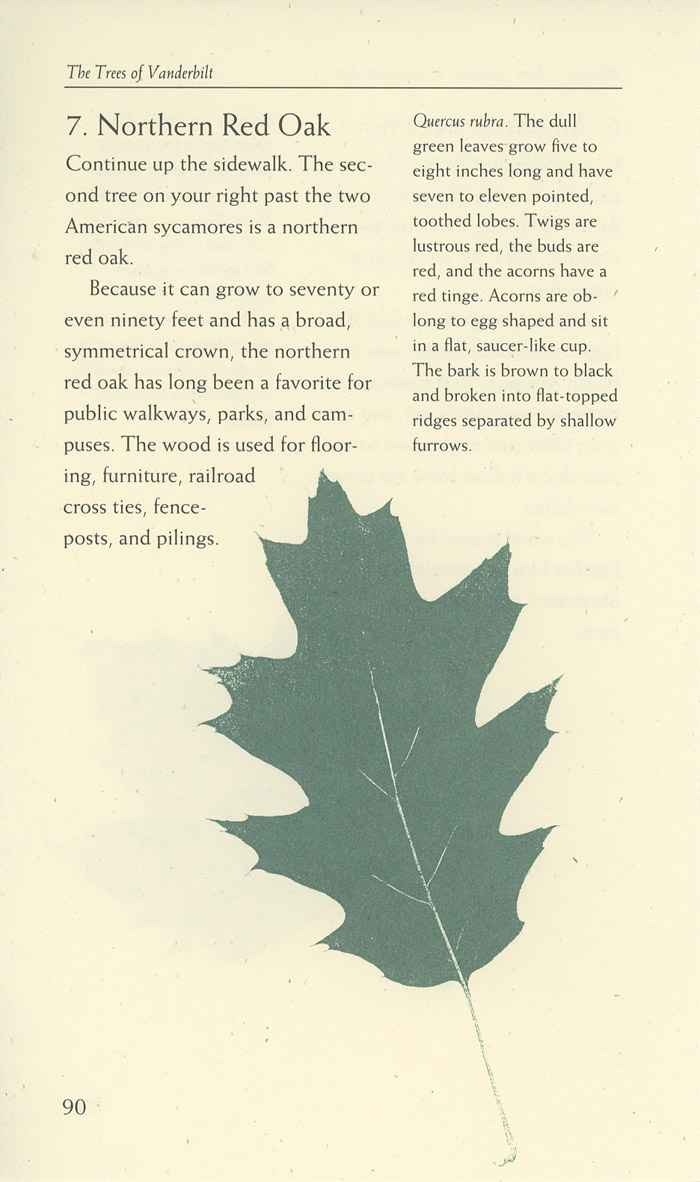 Image of a page from of the Trees of Vanderbilt