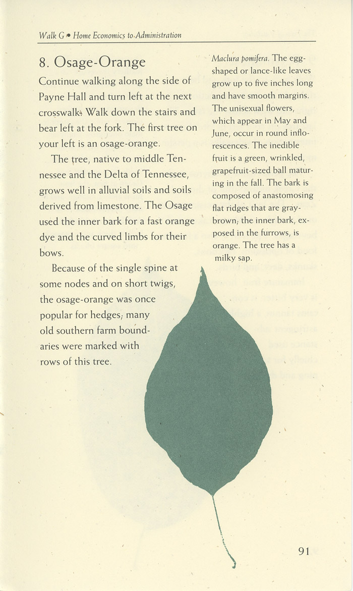 Image of a page from of the Trees of Vanderbilt