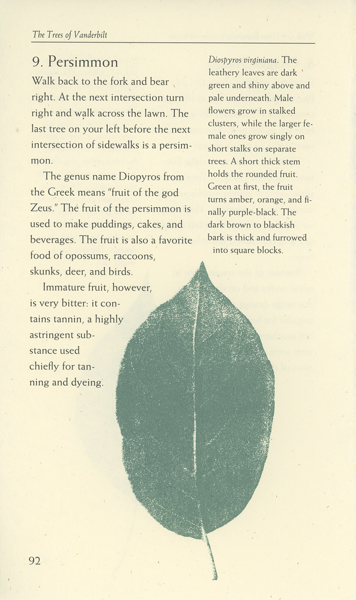 Image of a page from of the Trees of Vanderbilt