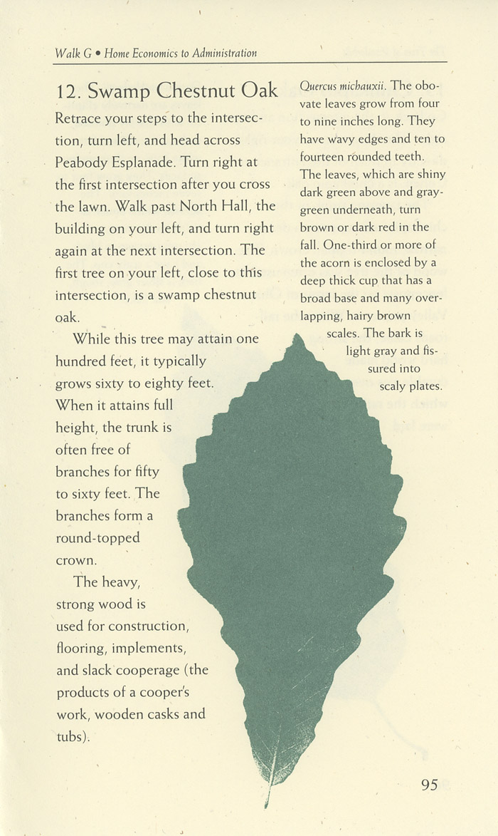 Image of a page from of the Trees of Vanderbilt